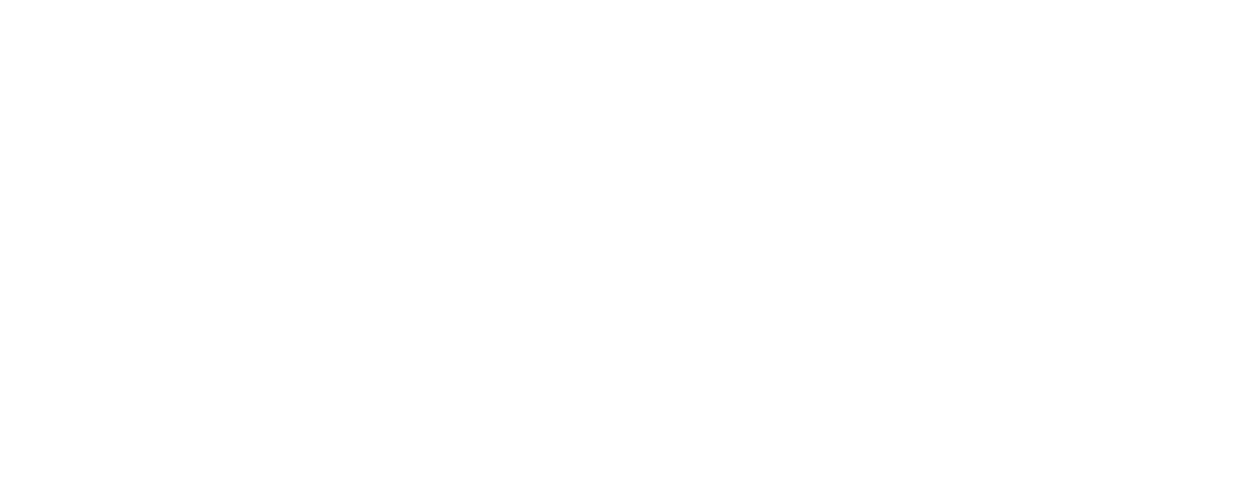 Nancy Mace for Governor
